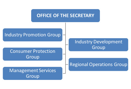 DTI org chart showing the Office of the Secretary and the five functional groups