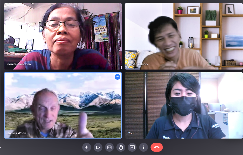 Screen Capture of the Participants of the Virtual Meeting
