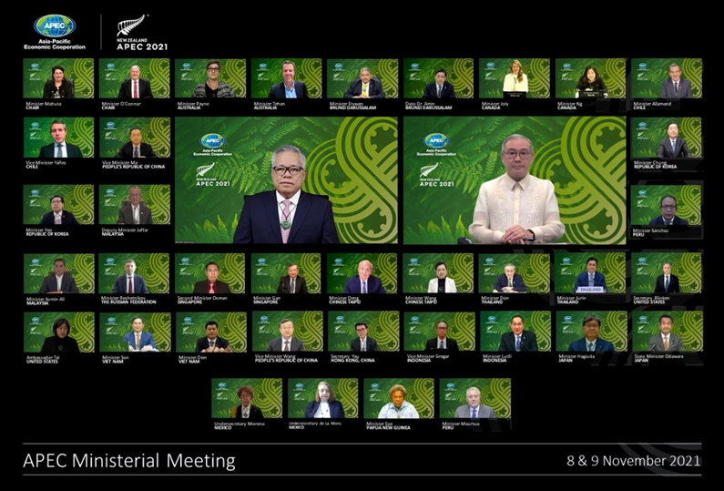 Screenshot of attendees of the APEC Ministerial Meeting