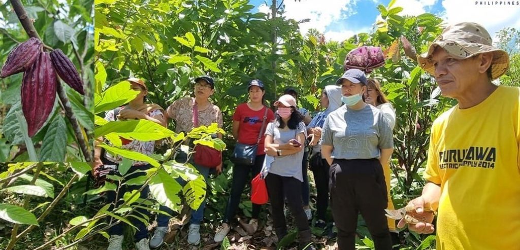 DTI Baguio Benguet visits cacao farmers in Kapangan, Benguet.