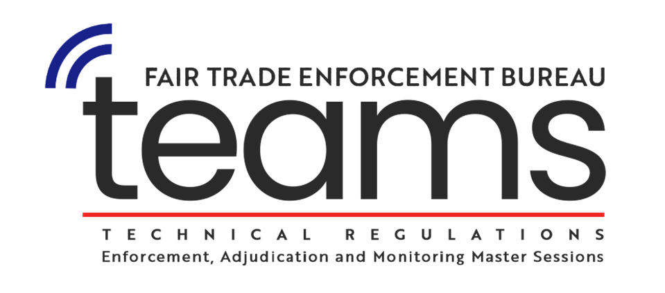 FTEB-TEAMS Logo