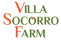 Villa Socorro logo