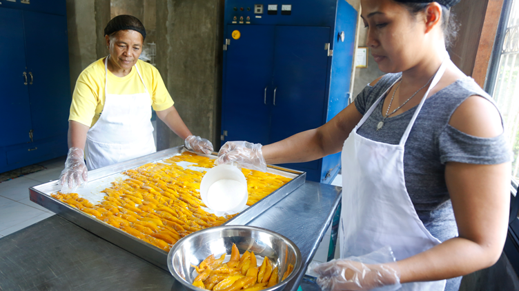 Evelyn Grace processing the mangoes