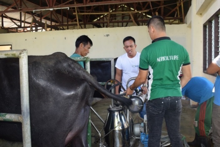 DTI promotes Dairy Industry in Quirino 1