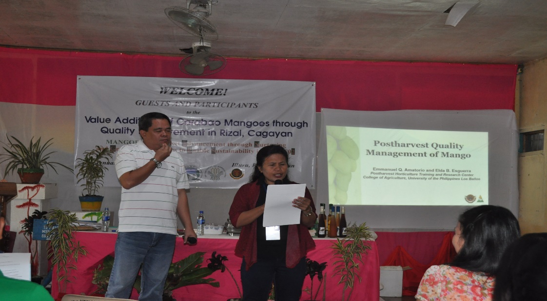 MANGOES 2 Project creates Value Additions for Rizal Mangoes